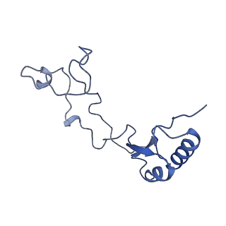 10431_6tb3_BG_v1-1
yeast 80S ribosome in complex with the Not5 subunit of the CCR4-NOT complex