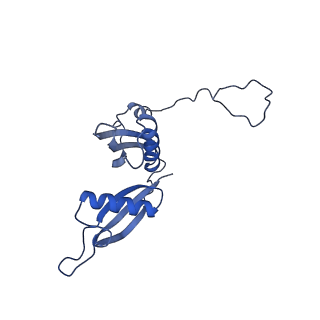 10431_6tb3_BH_v1-1
yeast 80S ribosome in complex with the Not5 subunit of the CCR4-NOT complex