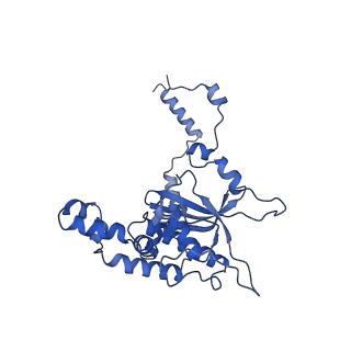 10431_6tb3_BI_v1-1
yeast 80S ribosome in complex with the Not5 subunit of the CCR4-NOT complex
