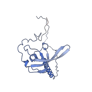 10431_6tb3_BJ_v1-1
yeast 80S ribosome in complex with the Not5 subunit of the CCR4-NOT complex