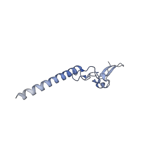 10431_6tb3_BN_v1-1
yeast 80S ribosome in complex with the Not5 subunit of the CCR4-NOT complex