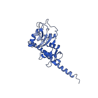 10431_6tb3_BO_v1-1
yeast 80S ribosome in complex with the Not5 subunit of the CCR4-NOT complex