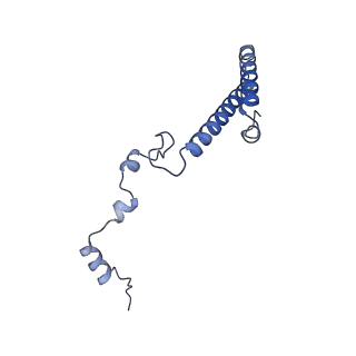 10431_6tb3_BP_v1-1
yeast 80S ribosome in complex with the Not5 subunit of the CCR4-NOT complex