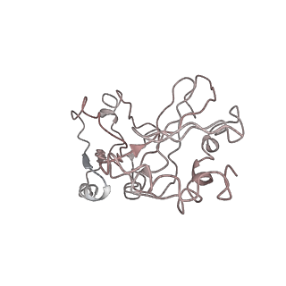 10431_6tb3_BT_v1-1
yeast 80S ribosome in complex with the Not5 subunit of the CCR4-NOT complex
