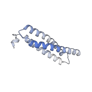 10431_6tb3_BW_v1-1
yeast 80S ribosome in complex with the Not5 subunit of the CCR4-NOT complex