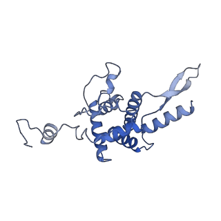 10431_6tb3_B_v1-1
yeast 80S ribosome in complex with the Not5 subunit of the CCR4-NOT complex