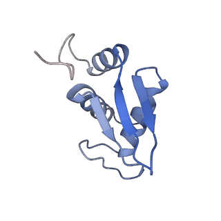 10431_6tb3_C_v1-1
yeast 80S ribosome in complex with the Not5 subunit of the CCR4-NOT complex