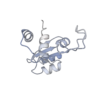 10431_6tb3_D_v1-1
yeast 80S ribosome in complex with the Not5 subunit of the CCR4-NOT complex