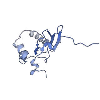 10431_6tb3_E_v1-1
yeast 80S ribosome in complex with the Not5 subunit of the CCR4-NOT complex