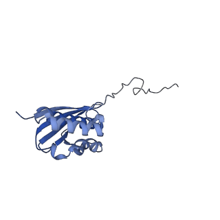 10431_6tb3_F_v1-1
yeast 80S ribosome in complex with the Not5 subunit of the CCR4-NOT complex