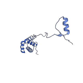 10431_6tb3_G_v1-1
yeast 80S ribosome in complex with the Not5 subunit of the CCR4-NOT complex