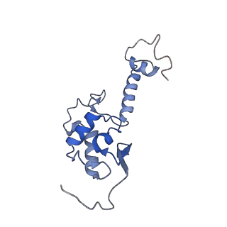 10431_6tb3_H_v1-1
yeast 80S ribosome in complex with the Not5 subunit of the CCR4-NOT complex