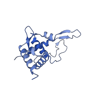 10431_6tb3_I_v1-1
yeast 80S ribosome in complex with the Not5 subunit of the CCR4-NOT complex