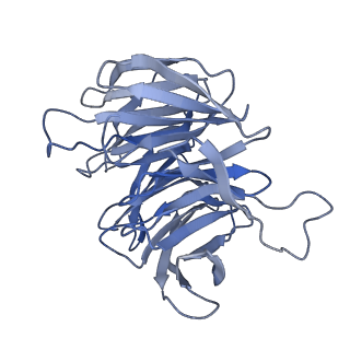 10431_6tb3_O_v1-1
yeast 80S ribosome in complex with the Not5 subunit of the CCR4-NOT complex