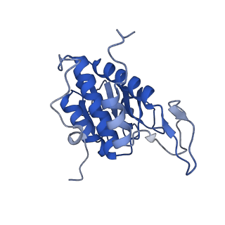 10431_6tb3_P_v1-1
yeast 80S ribosome in complex with the Not5 subunit of the CCR4-NOT complex