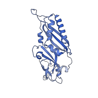 10431_6tb3_Q_v1-1
yeast 80S ribosome in complex with the Not5 subunit of the CCR4-NOT complex