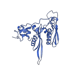 10431_6tb3_R_v1-1
yeast 80S ribosome in complex with the Not5 subunit of the CCR4-NOT complex