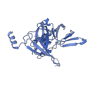 10431_6tb3_S_v1-1
yeast 80S ribosome in complex with the Not5 subunit of the CCR4-NOT complex
