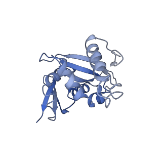 10431_6tb3_U_v1-1
yeast 80S ribosome in complex with the Not5 subunit of the CCR4-NOT complex