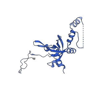 10431_6tb3_V_v1-1
yeast 80S ribosome in complex with the Not5 subunit of the CCR4-NOT complex