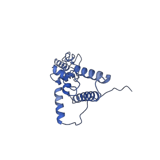 10431_6tb3_W_v1-1
yeast 80S ribosome in complex with the Not5 subunit of the CCR4-NOT complex