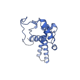 10431_6tb3_Y_v1-1
yeast 80S ribosome in complex with the Not5 subunit of the CCR4-NOT complex