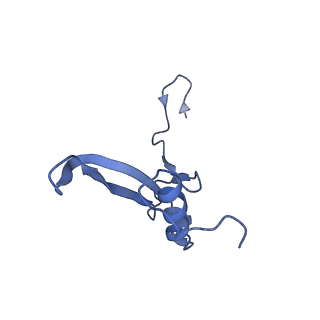 10431_6tb3_a_v1-1
yeast 80S ribosome in complex with the Not5 subunit of the CCR4-NOT complex