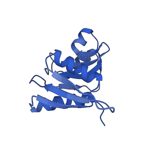 10431_6tb3_b_v1-1
yeast 80S ribosome in complex with the Not5 subunit of the CCR4-NOT complex