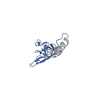 10431_6tb3_c_v1-1
yeast 80S ribosome in complex with the Not5 subunit of the CCR4-NOT complex