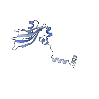 10431_6tb3_d_v1-1
yeast 80S ribosome in complex with the Not5 subunit of the CCR4-NOT complex