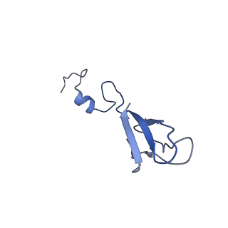 10431_6tb3_f_v1-1
yeast 80S ribosome in complex with the Not5 subunit of the CCR4-NOT complex