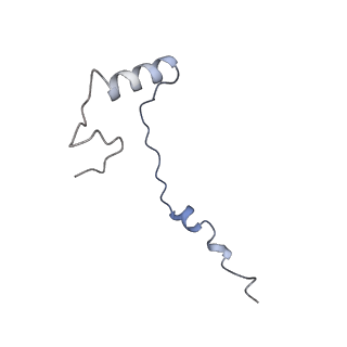 10431_6tb3_g_v1-1
yeast 80S ribosome in complex with the Not5 subunit of the CCR4-NOT complex