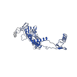 10443_6tba_1A_v1-2
Virion of native gene transfer agent (GTA) particle