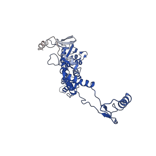 10443_6tba_1B_v1-2
Virion of native gene transfer agent (GTA) particle