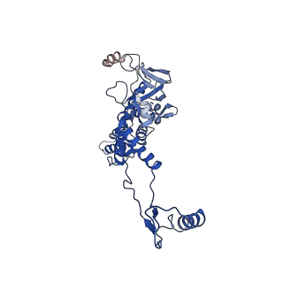 10443_6tba_1C_v1-2
Virion of native gene transfer agent (GTA) particle
