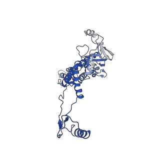 10443_6tba_1D_v1-2
Virion of native gene transfer agent (GTA) particle