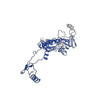 10443_6tba_1E_v1-2
Virion of native gene transfer agent (GTA) particle