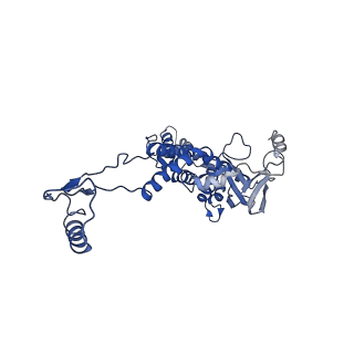 10443_6tba_1F_v1-2
Virion of native gene transfer agent (GTA) particle