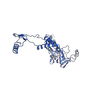 10443_6tba_1G_v1-2
Virion of native gene transfer agent (GTA) particle