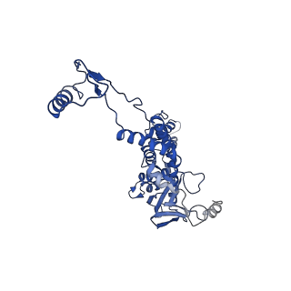 10443_6tba_1H_v1-2
Virion of native gene transfer agent (GTA) particle