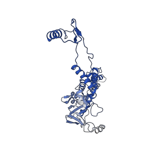 10443_6tba_1I_v1-2
Virion of native gene transfer agent (GTA) particle