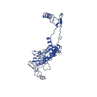 10443_6tba_1J_v1-2
Virion of native gene transfer agent (GTA) particle