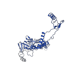 10443_6tba_1K_v1-2
Virion of native gene transfer agent (GTA) particle