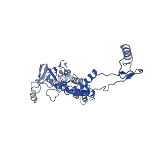 10443_6tba_1L_v1-2
Virion of native gene transfer agent (GTA) particle