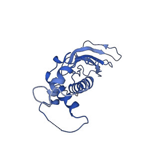 10443_6tba_2A_v1-2
Virion of native gene transfer agent (GTA) particle