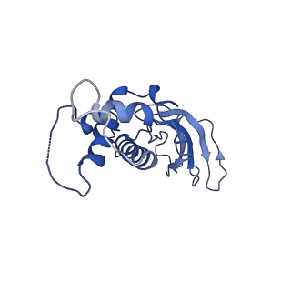 10443_6tba_2C_v1-2
Virion of native gene transfer agent (GTA) particle