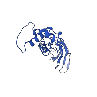 10443_6tba_2D_v1-2
Virion of native gene transfer agent (GTA) particle