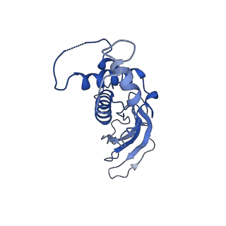 10443_6tba_2E_v1-2
Virion of native gene transfer agent (GTA) particle