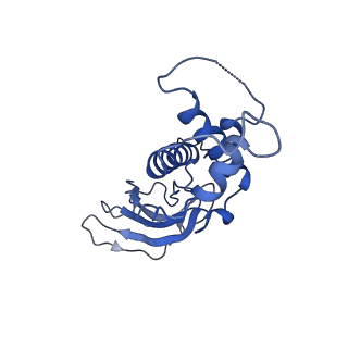 10443_6tba_2G_v1-2
Virion of native gene transfer agent (GTA) particle