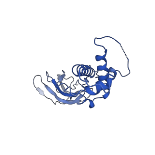 10443_6tba_2H_v1-2
Virion of native gene transfer agent (GTA) particle